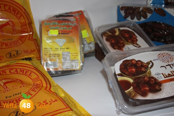 zhra2 tamer 705 (15).JPG